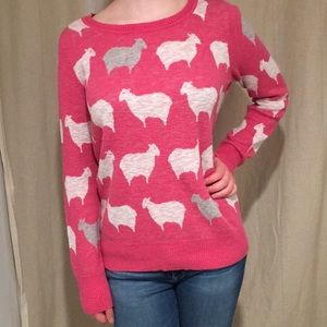 Super Soft Sheep Sweater! 🐑